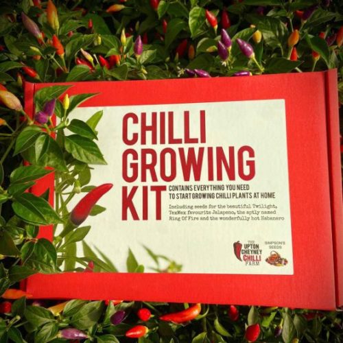 Chilli Growing Kit Upton Cheyney Chilli Company